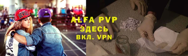 спиды Богородицк
