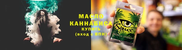 спиды Богородицк