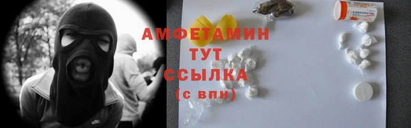 спиды Богородицк