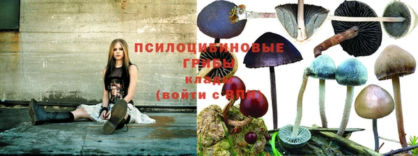 прущая мука Богородск