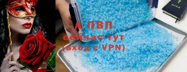 спиды Богородицк