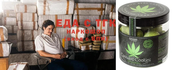 спиды Богородицк