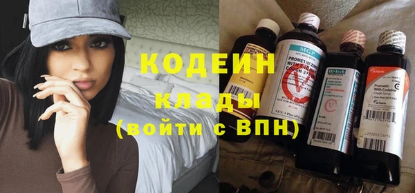 спиды Богородицк