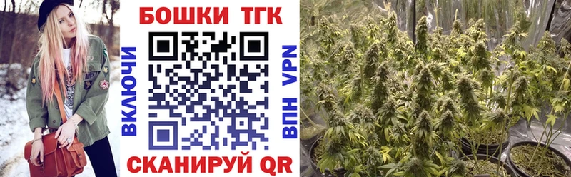 Конопля сатива  omg зеркало  Калуга 